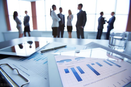 信息化浪潮下的企業(yè)信息化管理 概念、內(nèi)涵與技術(shù)咨詢的橋梁作用